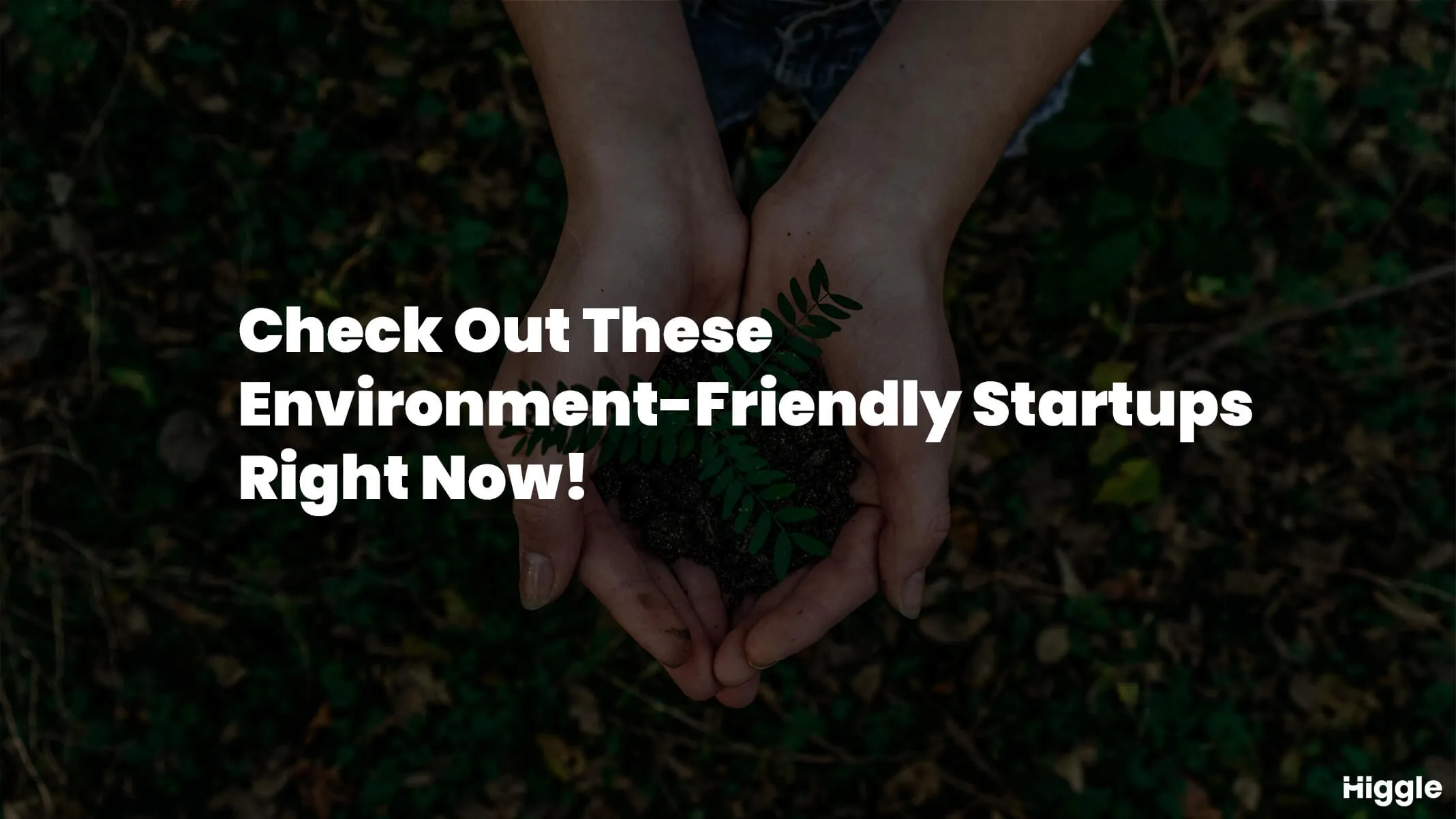eco friendly startups