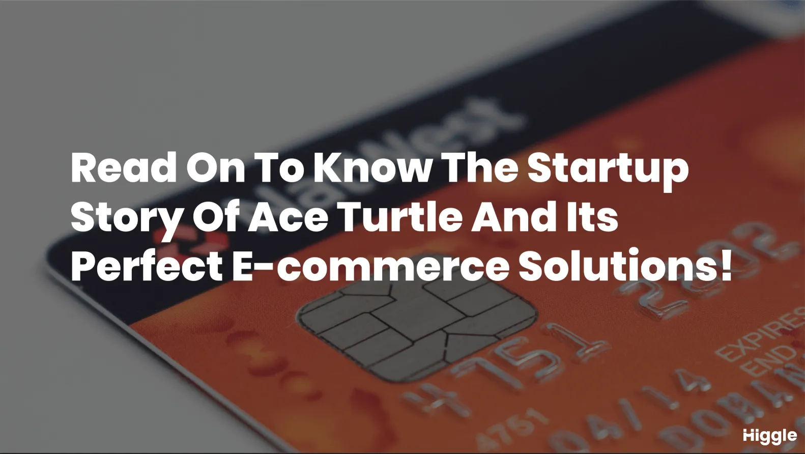 startup story of ace turtle